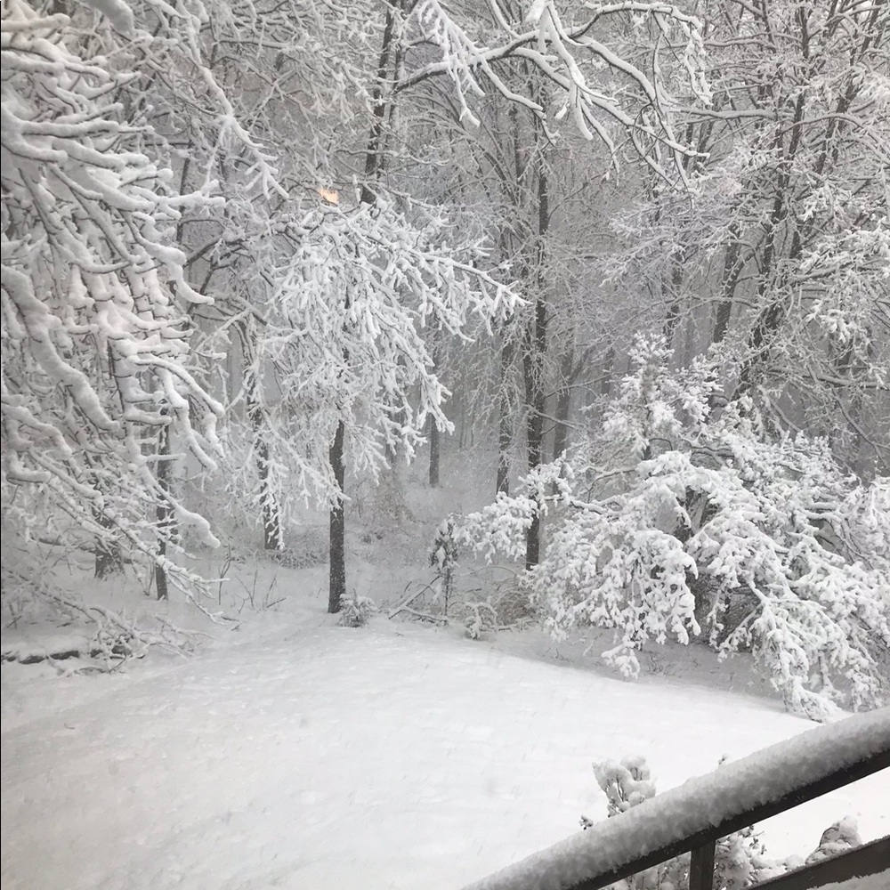 Meet your Posher, Tracy